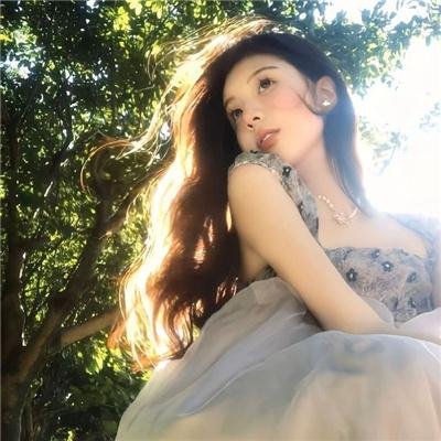 静静的白桦林